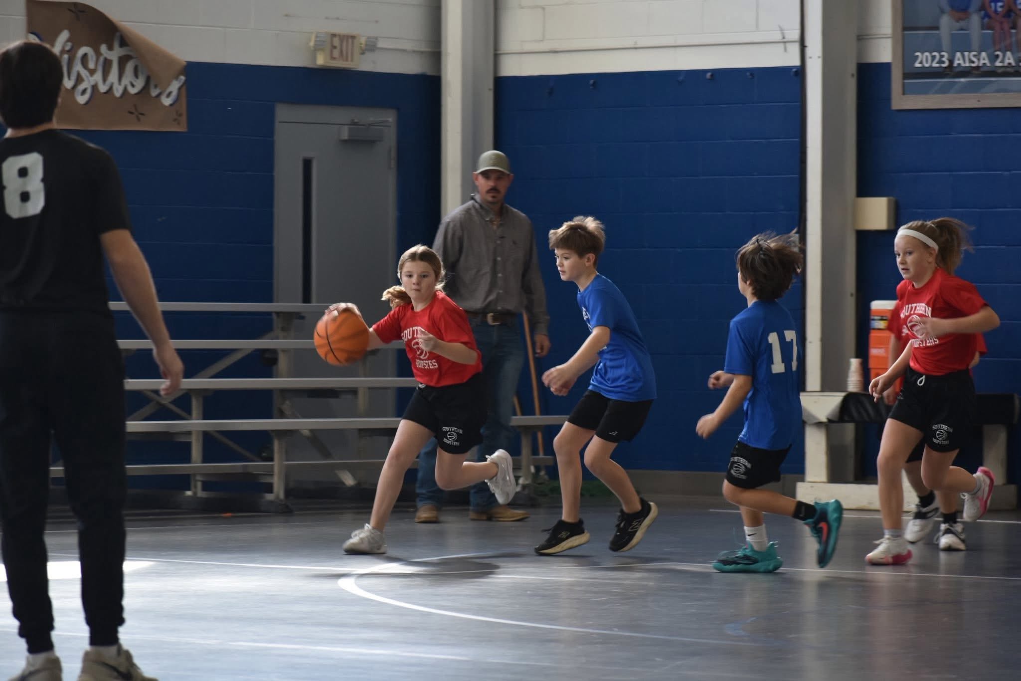 hoopsters action (1)